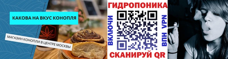 Купить где  Балахна  Canna-Cookies конопля 