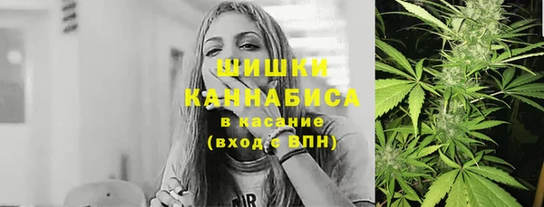 амф Вязьма