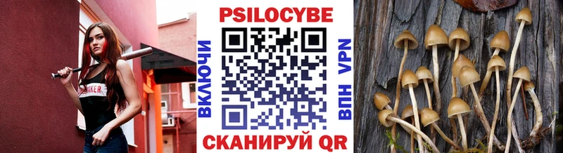 Купить  Балахна  Галлюциногенные грибы мицелий 